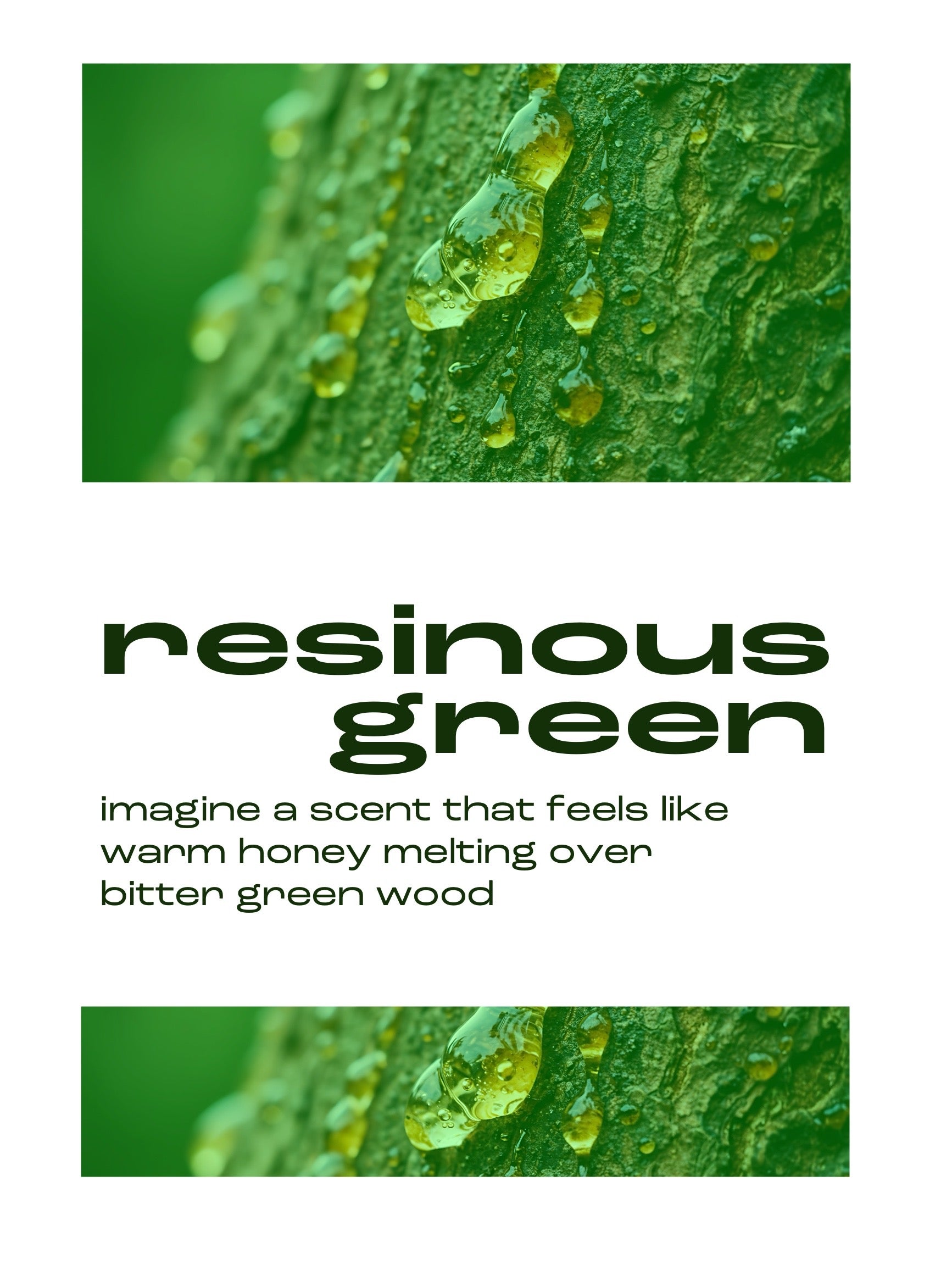 24.09.26 IMAGINE GREEN - The smell of Stems and Leaves (18:30 - 19:30)
