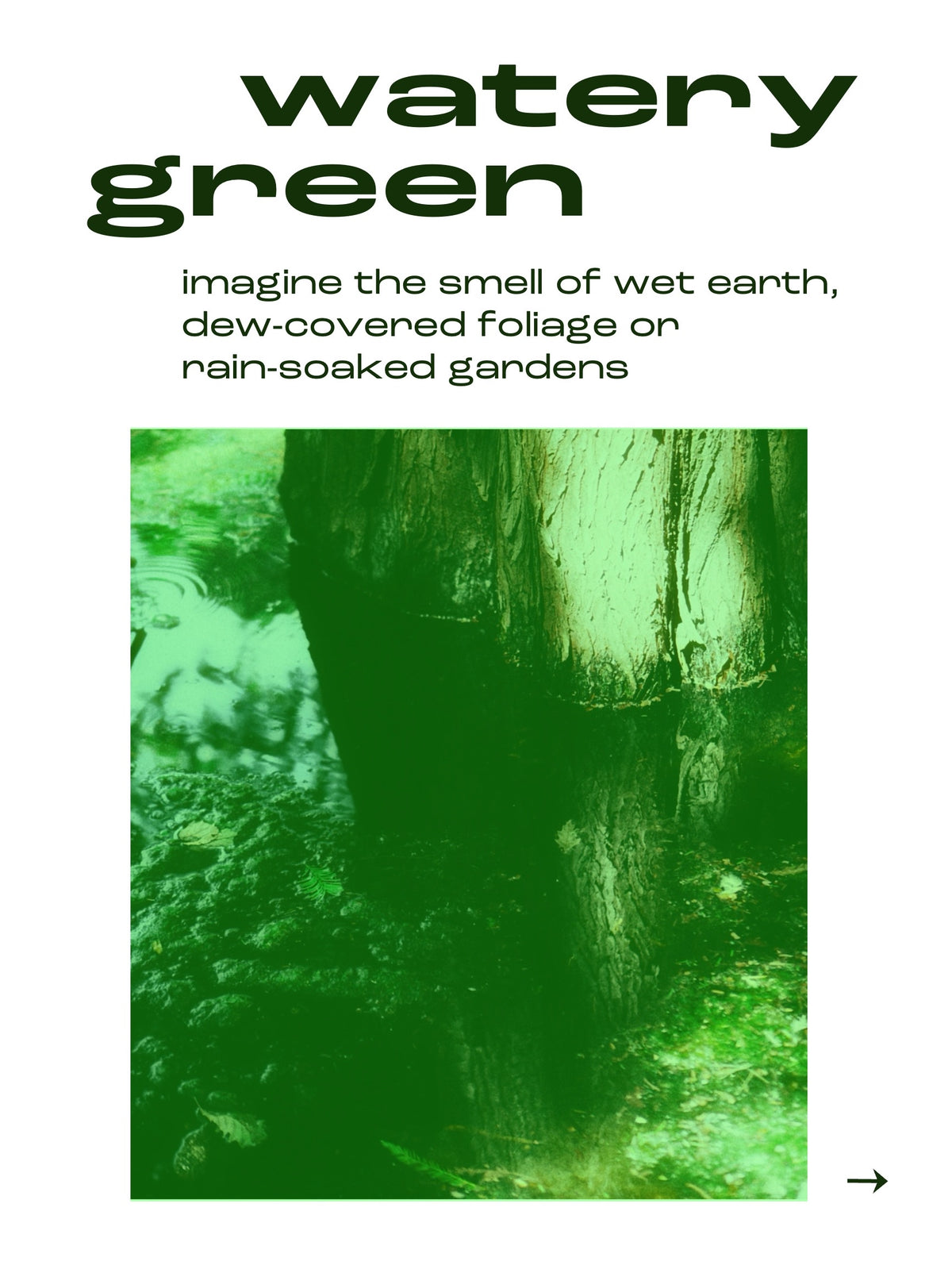 24.09.26 IMAGINE GREEN - The smell of Stems and Leaves (18:30 - 19:30)