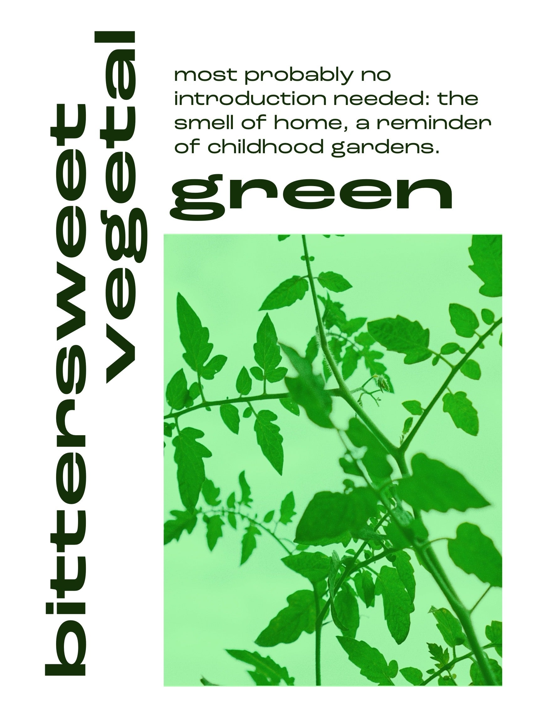 24.09.26  IMAGINE GREEN - The smell of Stems and Leaves (18:30 - 19:30)