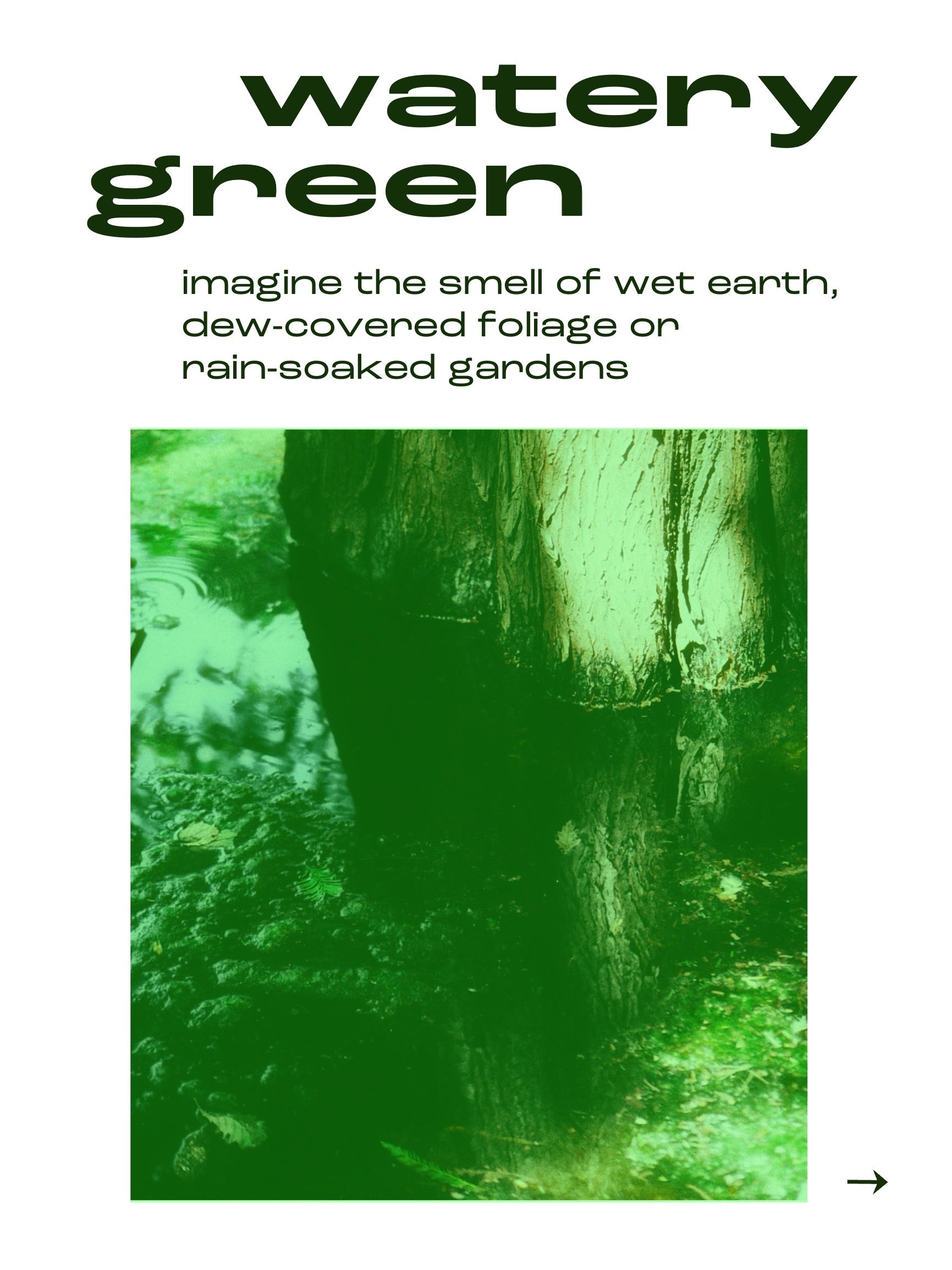 24.09.26  IMAGINE GREEN - The smell of Stems and Leaves (18:30 - 19:30)
