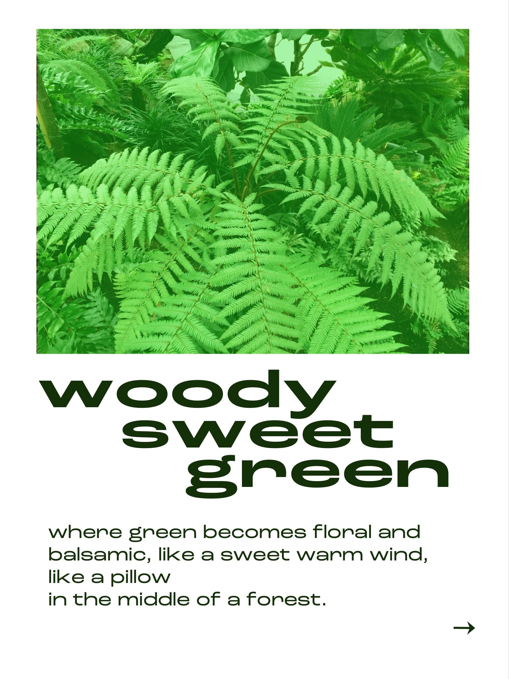 24.09.26  IMAGINE GREEN - The smell of Stems and Leaves (18:30 - 19:30)