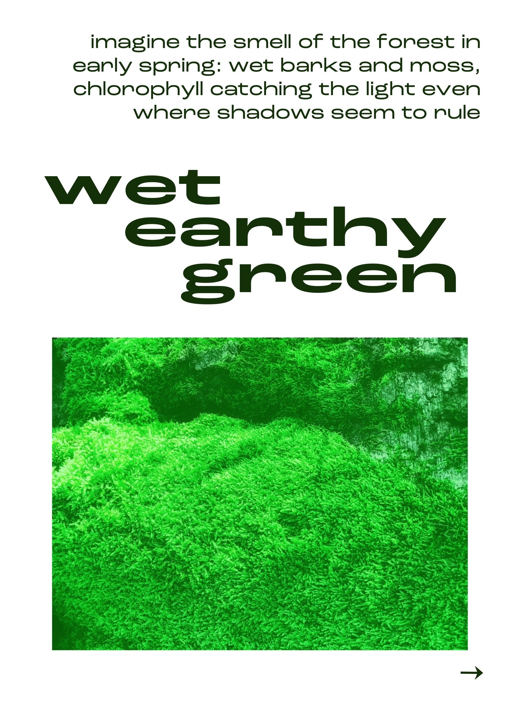 24.09.26  IMAGINE GREEN - The smell of Stems and Leaves (18:30 - 19:30)